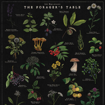 Vintage Noir Botanical Wild Food Print, 2 of 9