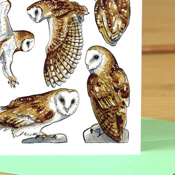 Barn Owls Watercolour Greeting Card, 5 of 6