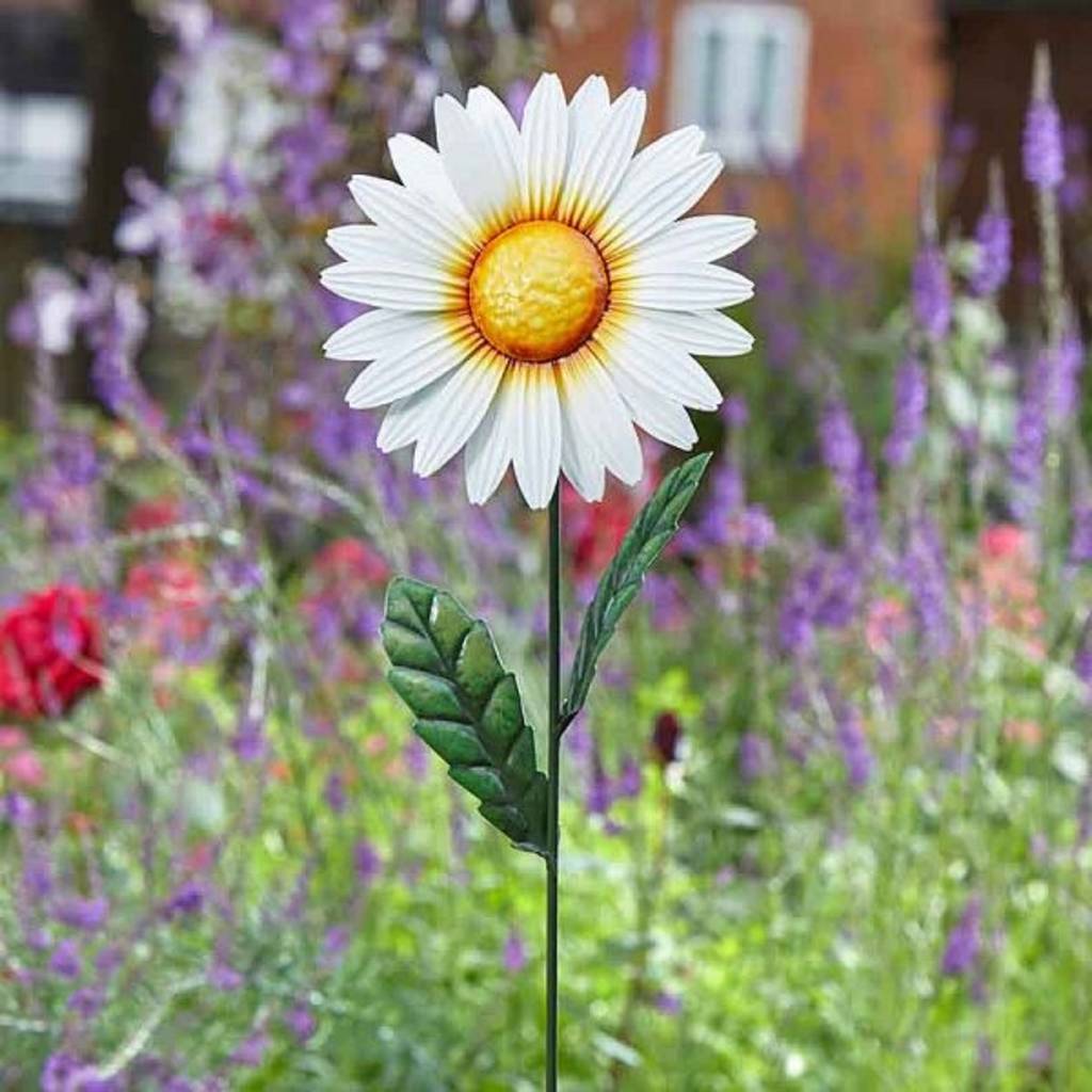 White Daisy Garden Ornament By Garden Selections