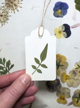 10 Pressed Leaf Gift Tags Assorted Set, 3 of 3