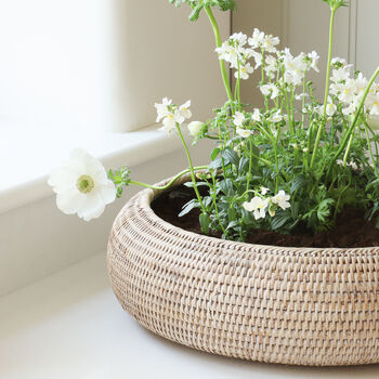 Marbury Round Rattan Table Planter, 7 of 8