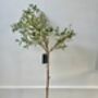 Artificial Potted Olive Tree, thumbnail 4 of 5