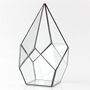 Four Surfaces Diamond Glass Geometric Plants Terrarium, thumbnail 7 of 7