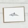 Sea Creature Note Card Pack, thumbnail 5 of 7
