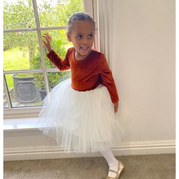 Burnt Orange Long Sleeve Velvet Tutu Dress, 7 of 8