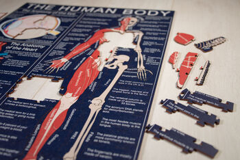 The Human Body Wooden Jigsaw Puzzle, 6 of 8
