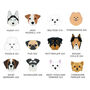 Personalised Dog Breed And Name Pet Dog ID Tag, thumbnail 6 of 9