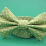 Green Polkadot Dog Bow Tie, thumbnail 1 of 6