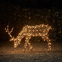 Studley Rattan Grazing Stag Light Up Reindeer, thumbnail 1 of 3