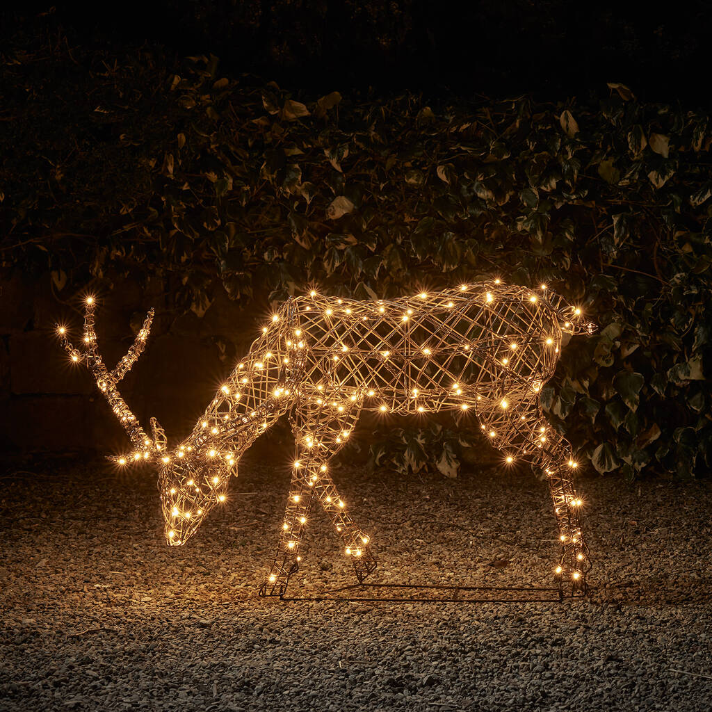 Studley Rattan Grazing Stag Light Up Reindeer, 1 of 3