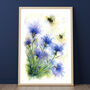 Cornflower And The Bee's Watercolour Print, thumbnail 1 of 8