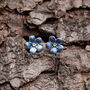 Forget Me Not Blue Flower Mini Stud Earrings, thumbnail 1 of 4