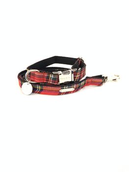 Christmas Tartan Dog Collar And Festive Lead Gift Set, 6 of 7