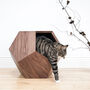 Cat Cave Geometric Coffee Table, thumbnail 3 of 6