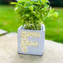 Personalised Birth Flower Font Square Planter, thumbnail 1 of 2
