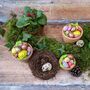 Easter And Spring Natural Tablescape In A Box, thumbnail 4 of 12