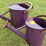 Perfectly Purple With Copper Trim Watering Can Duo, thumbnail 2 of 9