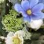 Frilly Scabiosa With Cosmos And Thistle Bunch, thumbnail 2 of 2