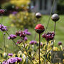 Marble Suncatcher Perfect For Adding Colour And Movement To Your Garden, thumbnail 10 of 12