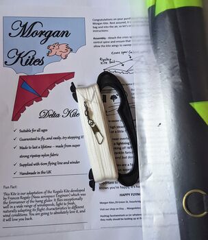 Rainbow Delta Kite By Morgan Kites, 3 of 5