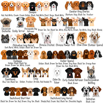Dog Breed ID Tag Personalised Realistic Illustrations, 4 of 12
