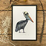 P Is For Peruvian Pelican Illustration Print, thumbnail 1 of 6