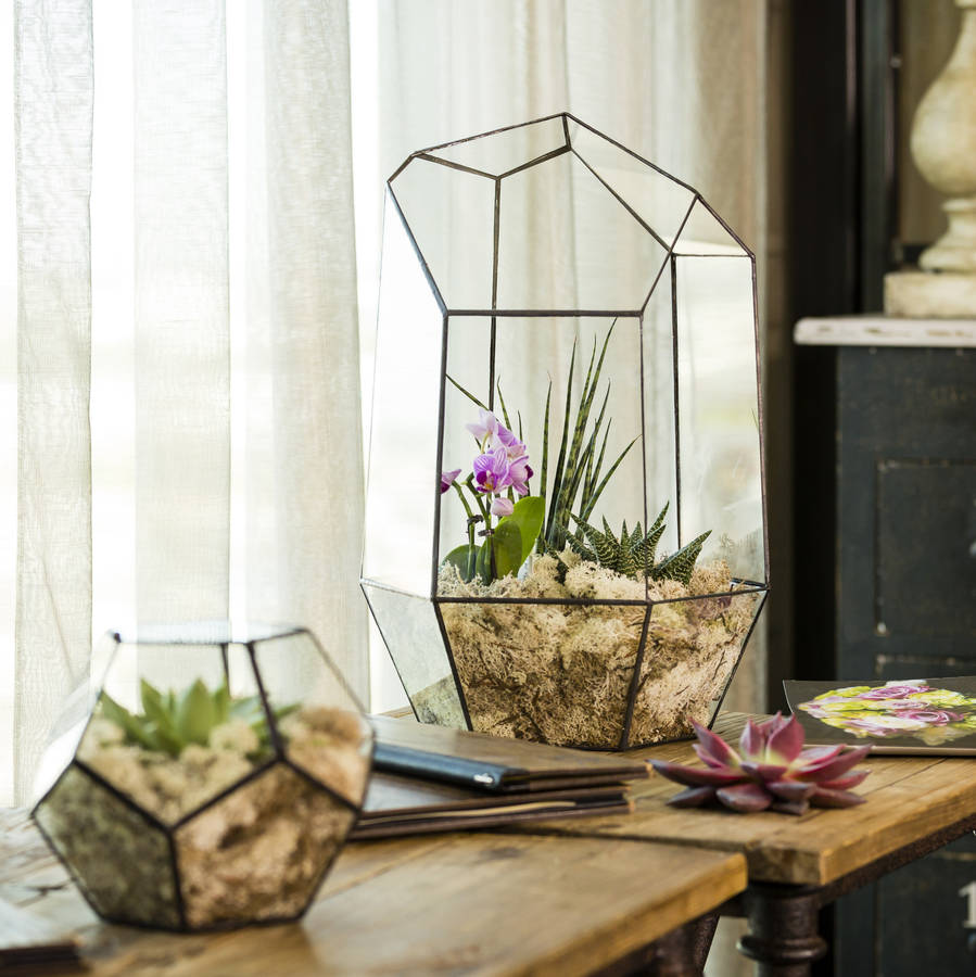 Image of Oversized Copper Gem Terrarium Fully Assembled