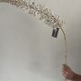 White And Gold Eremurus Spray, thumbnail 1 of 6