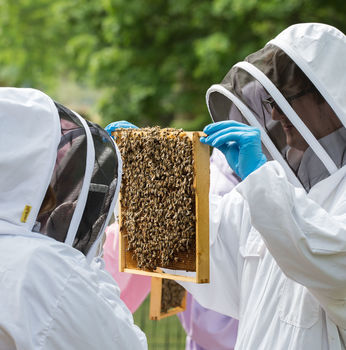 Rural Beekeeping And Craft Beer Experience 2022, 6 of 8