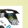 New Baby Boy Magpie Card, thumbnail 4 of 8