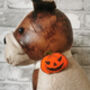 Halloween Pumpkin Pet Collar Accessory, thumbnail 3 of 5