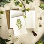 Christmas Botanical Note Card Set, thumbnail 6 of 6