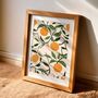 Orange Art Print, Citrus Prints, Fruit Art, thumbnail 1 of 8