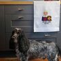 Build Your Own Personalised Dog Mum Gift Tea Towel, thumbnail 2 of 11