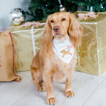 Personalised Christmas Dog Pet Bandana, 2 of 8