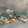 16cm Molten Glass Square Bowl On Teak Root Base, thumbnail 4 of 12