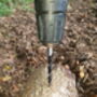 Shiitake Mushroom Log Dowel Kit, thumbnail 5 of 9