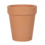 Bloom Where You Are Planted Terracotta Plant Pot, thumbnail 3 of 3