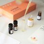Natural Perfume Making Kit, thumbnail 6 of 6