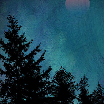 Trees At Dusk Two, Fine Art Print, 2 of 4
