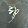 Snowdrop White Flower Brooch, thumbnail 1 of 5
