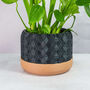 Carbon Hexa Planter, thumbnail 1 of 4