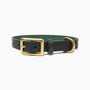 Personalised Green Leather Dog Collar, thumbnail 1 of 4