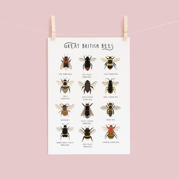 British Bees Poster, 2 of 5