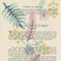 Folium Wood Block Print Vintage Book Page, thumbnail 2 of 7