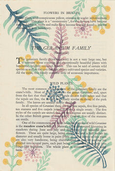 Folium Wood Block Print Vintage Book Page, 2 of 7