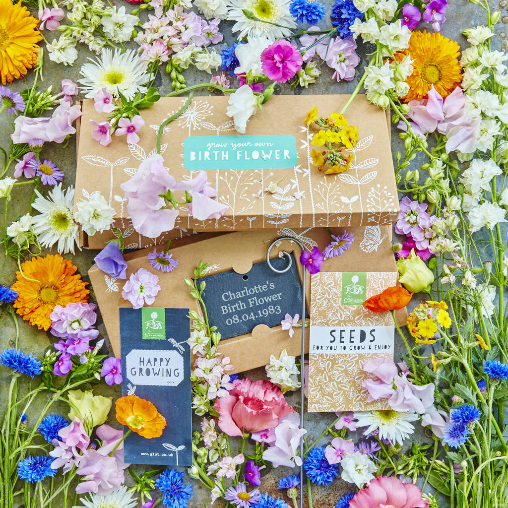 New Baby Flower Seed Gift Box
