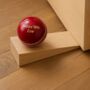 Personalised Full Size Cricket Ball Doorstop, thumbnail 1 of 6