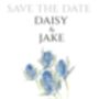 Pack 12 Thistle Original Personalised Save The Date Wedding Stationery, thumbnail 2 of 6