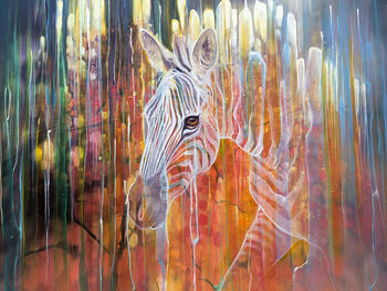 Zebra Queen, 5 of 11